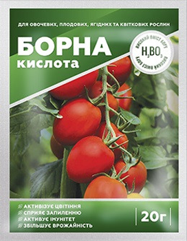 Борная кислота 20 г, Киссон