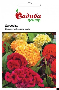 Семена целозии гребенчатой Джессика смесь 0,03 г, Hем Zaden