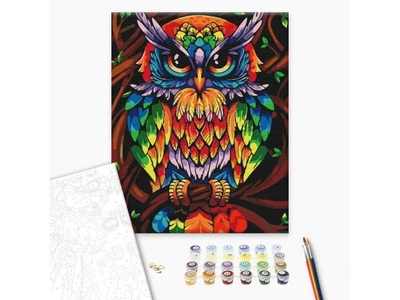 Картина по номерам Радужная мудрая сова, Brushme (40х50 см), BS52241