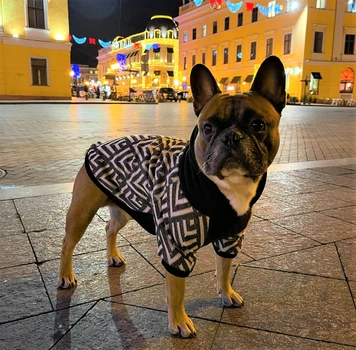 Худи для собак DogClub Wix XXL Black