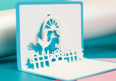 С рождением мальчика