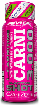 CarniShot 3000 - 60 мл 1/20 - Mojito