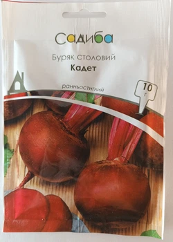 Семена свеклы Кадет Садыба центр Satimex Германия 10 г