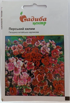 Семена цветов Гвоздика Персидский ковер китайская карликовая Садыба центр Hem Zaden Голландия 0,1 г