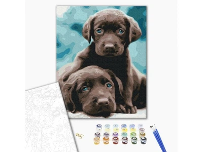 Картина по номерам Голубоглазые щенки, Brushme (40х50 см), BS53222