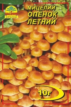 Міцелій гриба Опеньок літній Насіння Країни 10 г