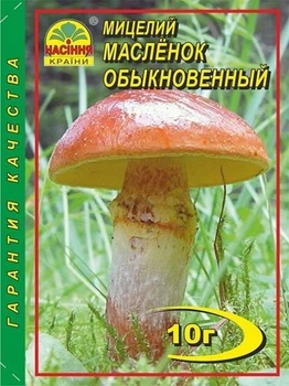 Міцелій гриба Маслюк звичайний Насіння Країни 10 г