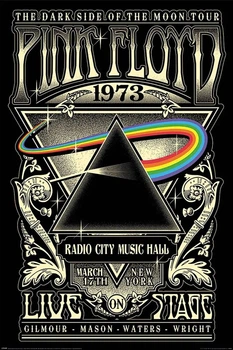 Постер плакат "Pink Floyd (1973)" 61x91.5см Pyramid International (ps-103795)