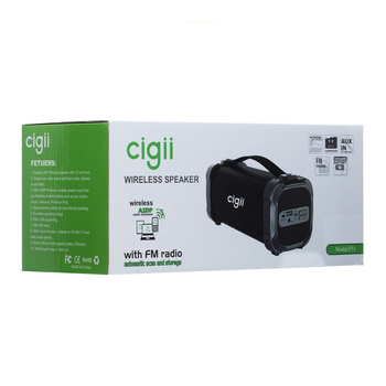 Колонка Cigii F51