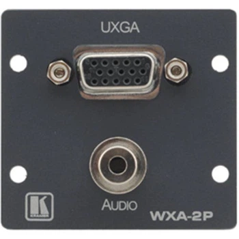 Модуль - перехідник WXA-2P(B)