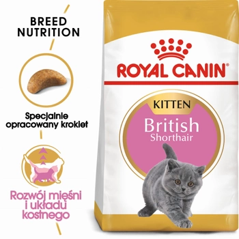 Сухой корм для кошенят Royal Canin Kitten British Shorthair 2 кг (3182550816533) (2566020)