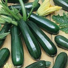 Насіння Кабачки Цукеша 2г Империя семян