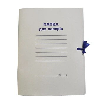 Папка на завязках Buromax А4 картон (BM.3356)