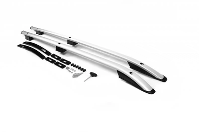 Рейлинги Skyport Grey V2 для Citroen Nemo - Серые рейлинги для крыши Citroen Nemo