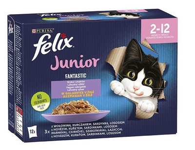 Mokra karma dla kociąt Purina Felix Fantastic Junior mix smaków w galaretce 12 x 85 g (7613039776810)