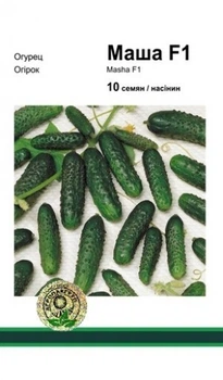 Огірок Маша F1 – 10 нас. А (Seminis).