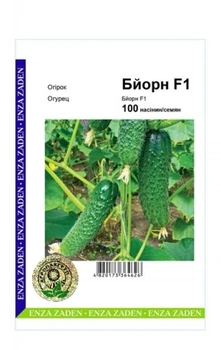 Огурец Бйорн F1 - 100с. А (Enza Zaden).