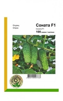 Огурец Соната F1 - 100 семян А (Rijk Zwaan).