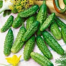 семена Огурец Парижский корнишон 10г Империя семян