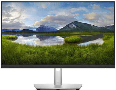Monitor 23,8" Dell P2422HE (210-BBBG) USB Type-C Power Delivery 65 W / RJ-45 (LAN)