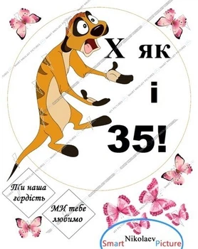Сахарна їстівна картинка Х як і 35 років, Тімон Ø20см, Ø5,5см +Ваша циферка на торт (SNP - 01264)