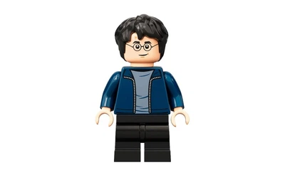Конструктор LEGO Harry Potter - Black Medium Legs 1 деталей (hp288-used)