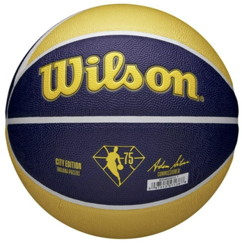 Баскетбольний м'яч Wilson NBA Team Pacers (розмір 7) WZ4003912XB7,