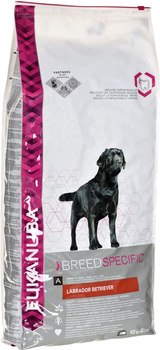 Sucha karma dla psów Eukanuba Adult Labrador Retriever 12 kg (8710255121819)