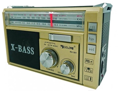 Радиоприемник проигрыватель портативный аккумуляторный с радио USB+SD+FM+AM Golon RX 381 золотистий