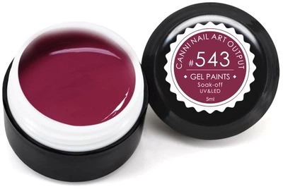 Гель-краска для ногтей Canni Nail Art Output 543 - Бордовый (5 мл) (640064-932025-2)