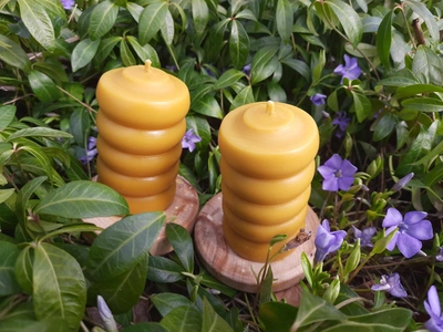 Набор восковых свечей "Пчелка" Zigrivay (5х8,5см) 2 шт (10041)
