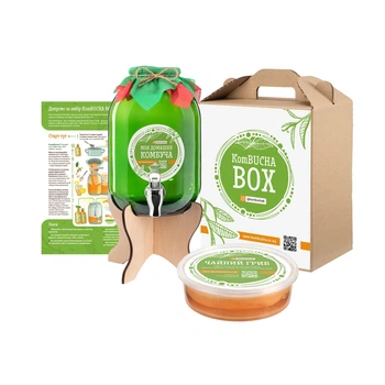 Набор для приготовления Комбучи средний KomBUCHA BOX LITE+