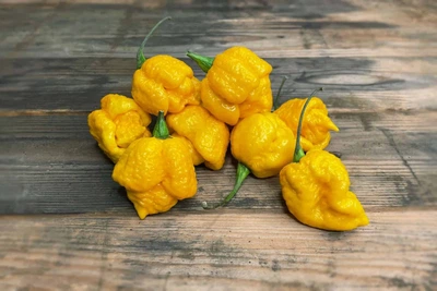 Семена перца Каролина Рипер (Carolina Reaper) желтый (yellow)