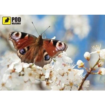 Ігрова поверхня Pod Mishkou вагана-Бабочка (вагана-Бабочка)