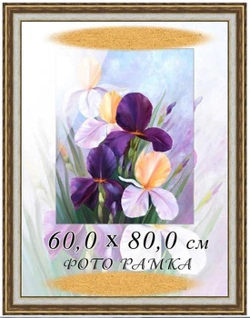 Фоторамка пластиковая под фото, рамка под графику, акварель, пастель, для грамот, сертификатов, дипломов 60х80, 5422-207