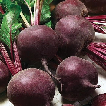 Насіння буряка Satimex Детройт 3 г
