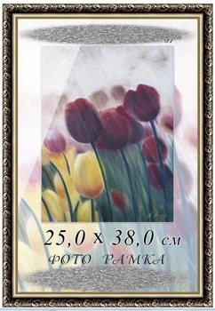 Фоторамка пластиковая, рамка формата 25х38 (2115B-05)