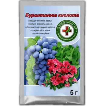 Бурштинова кислота 5 г/5 г