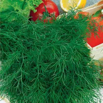 Насіння кропу Satimex Мамонт 10 г