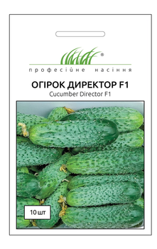 Семена огурца Директор F1, 10 шт, Nunhems, Голландия, Професійне насіння