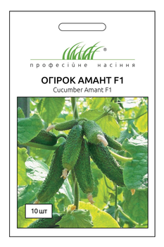 Насіння огірка Амант F1, 10 шт, Bejo, Голландія, Насіння Pro seeds