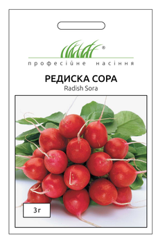 Семена редиса Сора, 3 г, Nunhems Zaden, Нидерланды, Професійне насіння