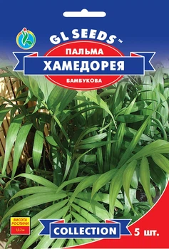 Пальма бамбуковая Хамедорея семена (5 шт), Collection, TM GL Seeds