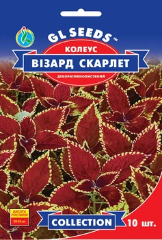 Колеус Візард Скарлет насіння (10 шт), Collection, TM GL Seeds