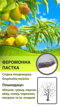 Феромонна пастка Дельта на східну плодожерку (Grapholita molesta)