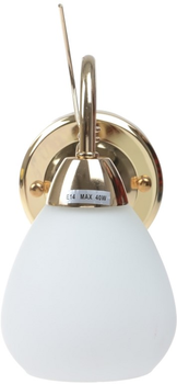 Бра Brille LK-236W/1 E14 FG (L53-056)