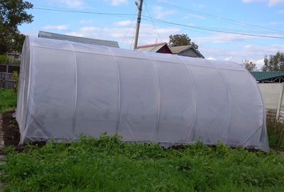 Теплиця 4x6 м під плівку UV-6 150 мкм труба 20х20 мм "Косиця"
