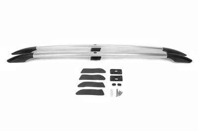 Рейлінги Хром (2 шт) Коротка база для Renault Scenic/Grand 2003-2009 рр