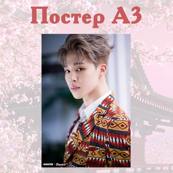 Постер плакат Чімін BTS Bangtan Boys 42х29 см А3 (poster_0056)