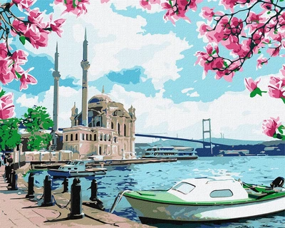 Картина по номерам. " Яскравий Стамбул" 40*50 см KHO2757